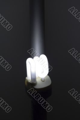 Lighting self-ballasted economical lamp