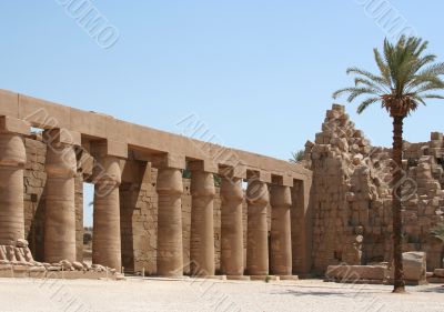 Luxor temple