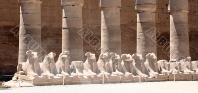 Luxor temple