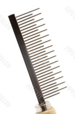 hairbrush for animal macro