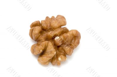 walnut macro