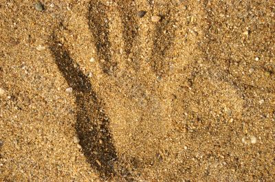 The Imprint palm on song. The Imprint palm on song.