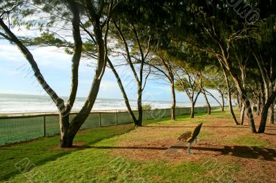 Beach Foreshore Beach Foreshore