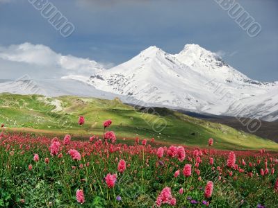 Mountains of the Caucasus Mountains of the Caucasus