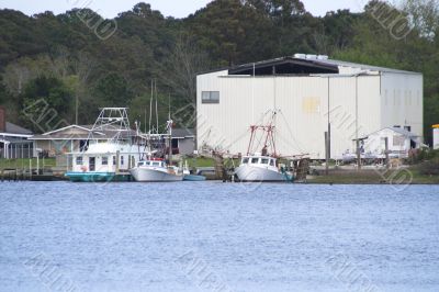 Marina Marina