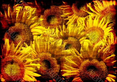 Grunge background - collage from sunflowers Grunge background - collage from sunflowers