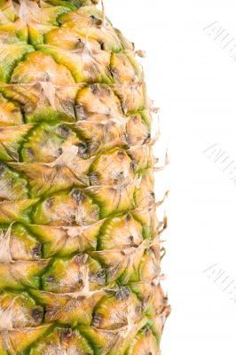 Pineapple Vertical Texture