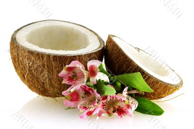 two pieces of ripe coconut with flowers
