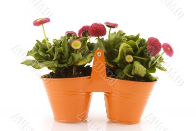 decorative orange buckets