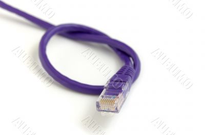 Network cable