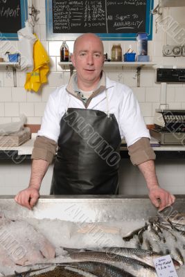 fishmonger in apron