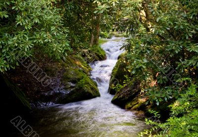 Rushing River through narrow gorge