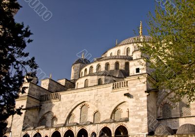 Blue Mosque 5