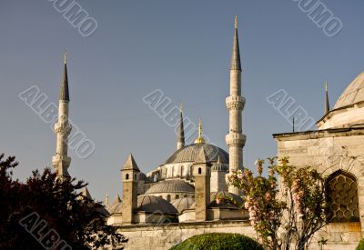 Blue Mosque 8