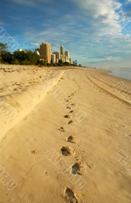 The Way To Surfers Paradise