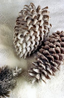 Pine Cones in Snow