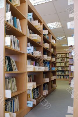 books on shelves in library