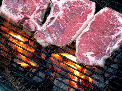 T-Bone Steaks on the Grill