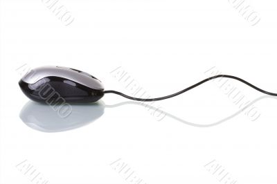 Mouse device isolated with reflection