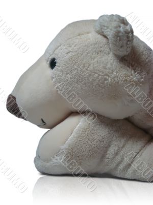 Teddy bear Teddy bear