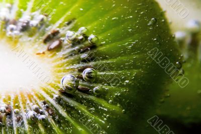 Sparkling Kiwi