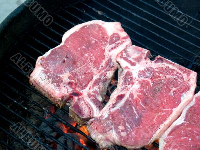 T-Bone Steaks on the Barbecue Grill