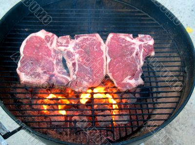 T-Bone Steaks on the Barbecue Grill