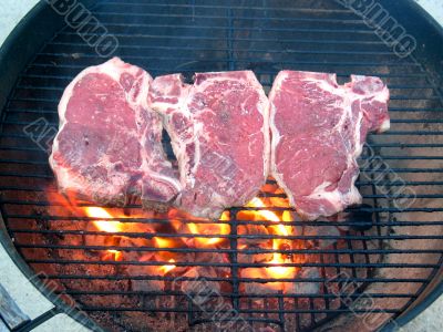 T-Bone Steaks on the Barbecue Grill