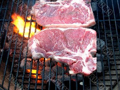 T-Bone Steaks on the Barbecue Grill