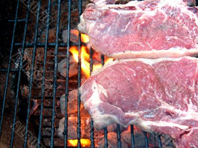 T-Bone Steaks on the Barbecue Grill