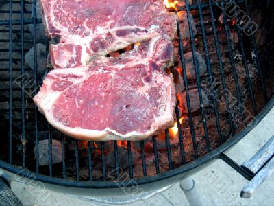 T-Bone Steaks on the Barbecue Grill