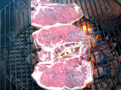 T-Bone Steaks on the Barbecue Grill