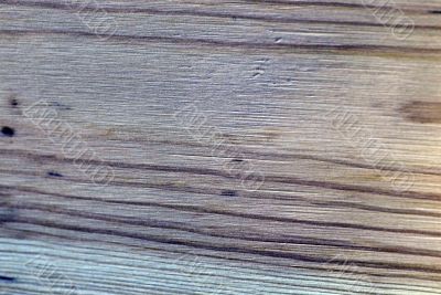 Wood texture .nature pattern, tree