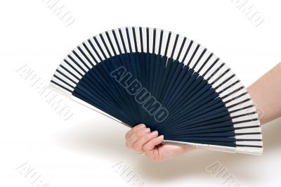 The fan