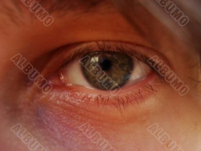 male eye male eye