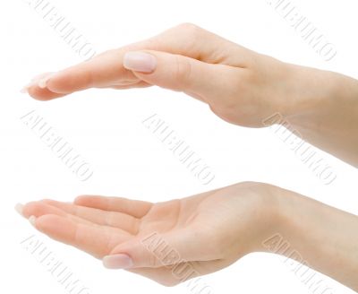 Woman hands holding anything from top and bottom isolated with c