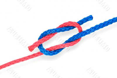 Fisher`s knot 01