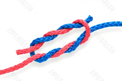 Fisher`s knot 06