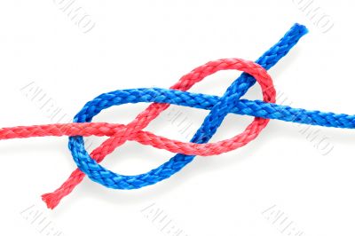 Fisher`s knot 07