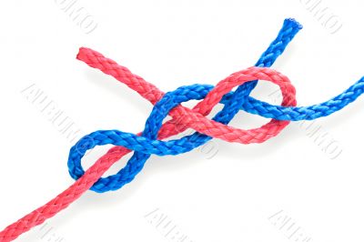 Fisher`s knot 08