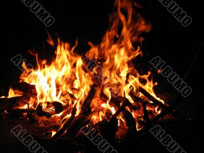 Fire Fire