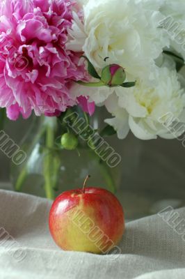Flowers and apple