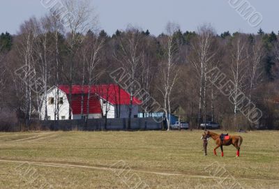 rider with horse