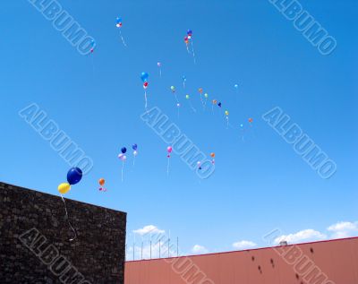 Balloons in Blue Sky