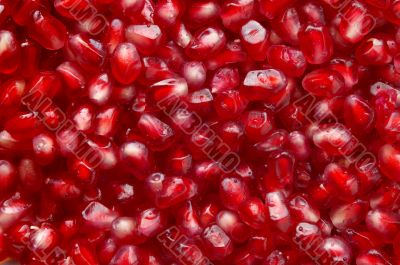 pomegranate seeds background