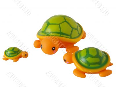 Three toy turtles stand around