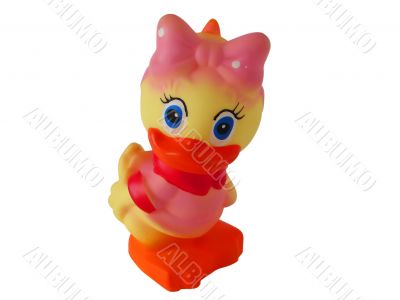 Toy duck