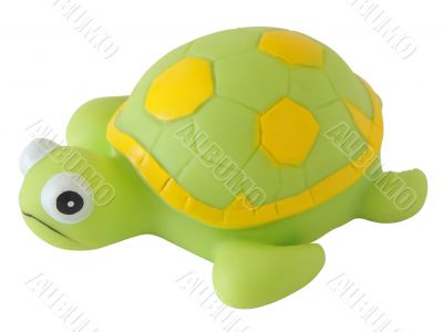 Toy green turtle