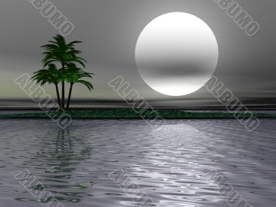 Palm tree landscape Palm tree landscape