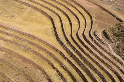 Inca ruins